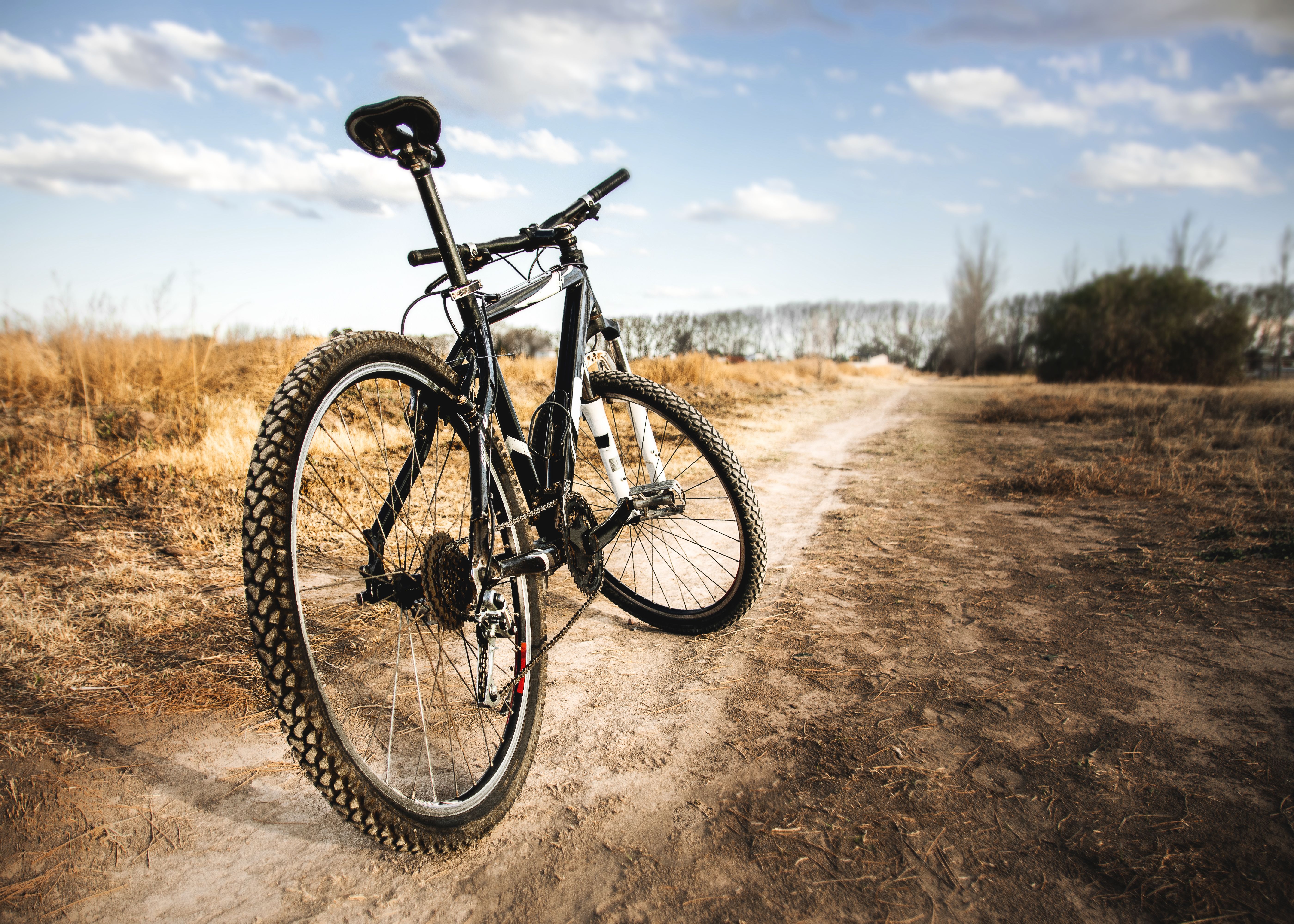 StandardBike