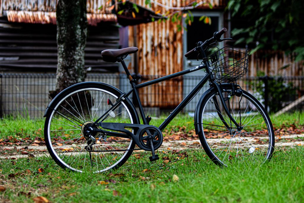 StandardBike