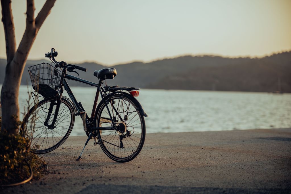 StandardBike