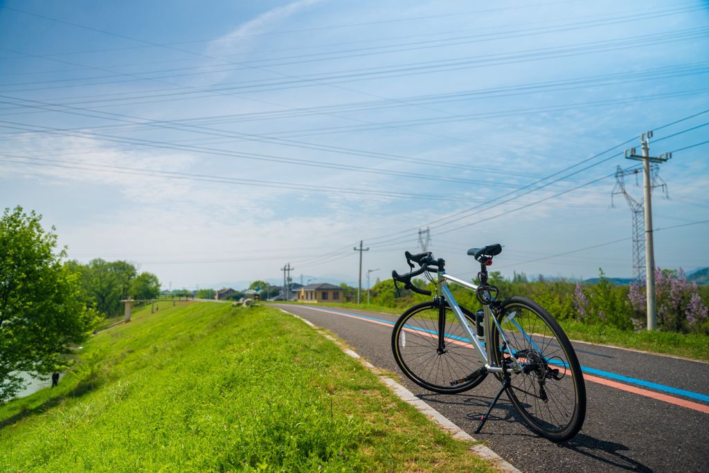 StandardBike
